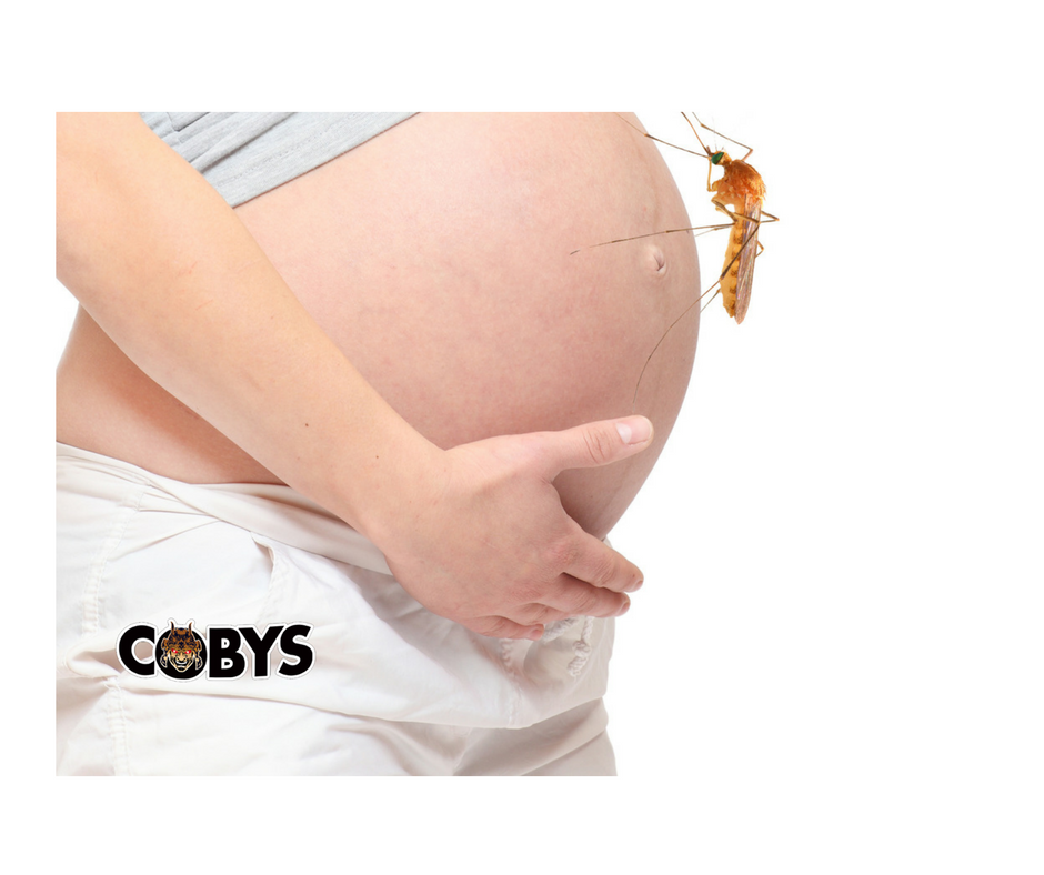 Pregnant Women Zika Virus