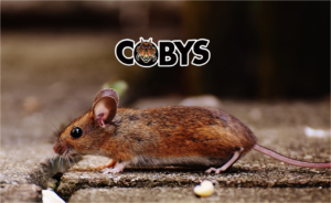Mouse Coby's Pest Control