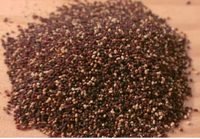 Close-up of drywood termite droppings, small hard pellets all the same size